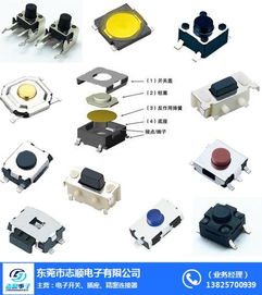 東莞市志順電子 專業供應硅膠輕觸開關，連接珠海等地的可靠批發合作伙伴